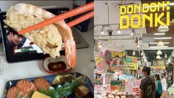 Syok! Kecoak Nyempil di Sushi Udang, Pelanggan Dapat Kompensasi