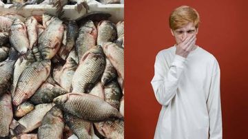 Tangki Saus Ikan Terbengkalai, Kota Ini Bau Menyengat 20 Tahun