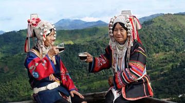 5 Negara Penghasil Kopi di Asia, Mandheling Indonesia Mendunia