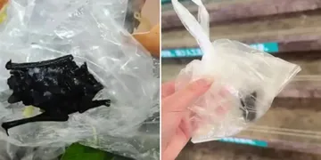 Ngeri! Temukan Kelelawar di Makanan Restoran, Bocah Masuk RS