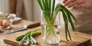 Cara Menyegarkan Daun Bawang Layu dengan Mudah