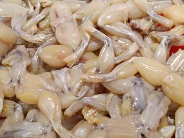 Heboh! Daging Kodok Berlabel Halal MUI Dijual di Supermarket