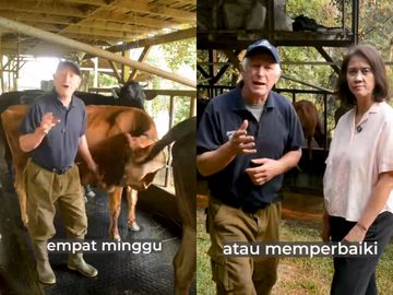 Peternakan Sapi Dago Dairy Tutup, Sulit Cari Pekerja Jadi Biang Keroknya