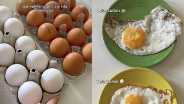 Viral Telur Sultan dari Ayam Paling Bahagia di Swiss, Lebih Enak?