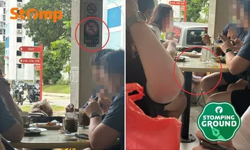 Viral! Anjing Duduk di Bawah Tanda ‘Dilarang Hewan’ di Kafe