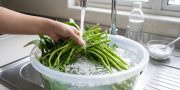 Cara bersihkan kangkung tanpa dibelah, kotoran dan serangga luruh