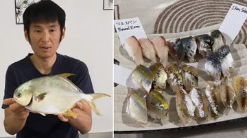 Viral! Keluarga Jepang Bikin Sashimi dari Ikan Bawal Lokal