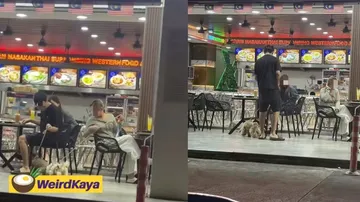 Bawa Anjing ke Kedai Makan, Aksi Pelanggan Ini Tuai Kecaman