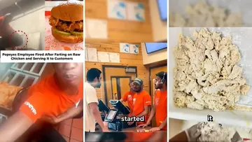 Viral! Pegawai Restoran Kentuti Ayam Mentah Sebelum Digoreng