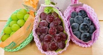 5 Jenis Anggur Paling Populer di Dunia, Ada Favoritmu?