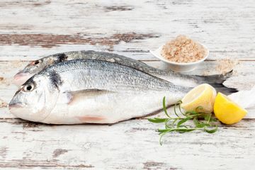 4 Alasan Ikan Jadi Protein Terbaik untuk Kesehatan