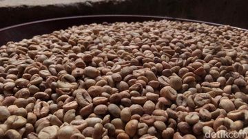 5 Fakta Unik Kopi Liberika, Biji Langka Indonesia Kaya Rasa