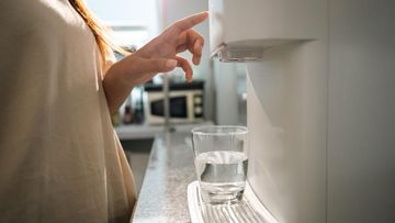 Minum Sambil Berdiri Bikin Ginjal Rusak? Ini Kata Dokter