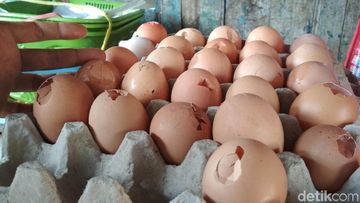 Telur Cangkangnya Retak, Amankah Dimakan? Ini Kata Ahli