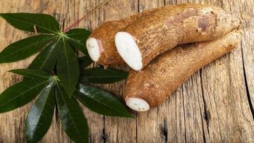 5 Makanan Paling Berbahaya di Dunia, Singkong hingga Kerang Dara