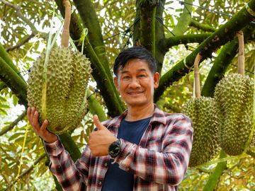 Demam Musang King di Vietnam: Pedagang Rela Bayar Komisi demi Stok