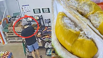 Pria Bawa Koper Curi Durian Musang King Rp1,1 Juta, Terekam CCTV!