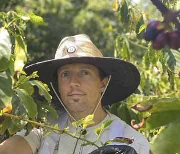 Jason Mraz Ubah Kebun Alpukat Tua Jadi Pertanian 7 Hektar