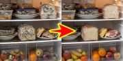 Makanan Berjamur di Kulkas? Trik Bersihkan hingga Wangi Lagi